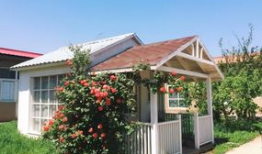 院子漫画,描绘日常生活的温馨与幽默